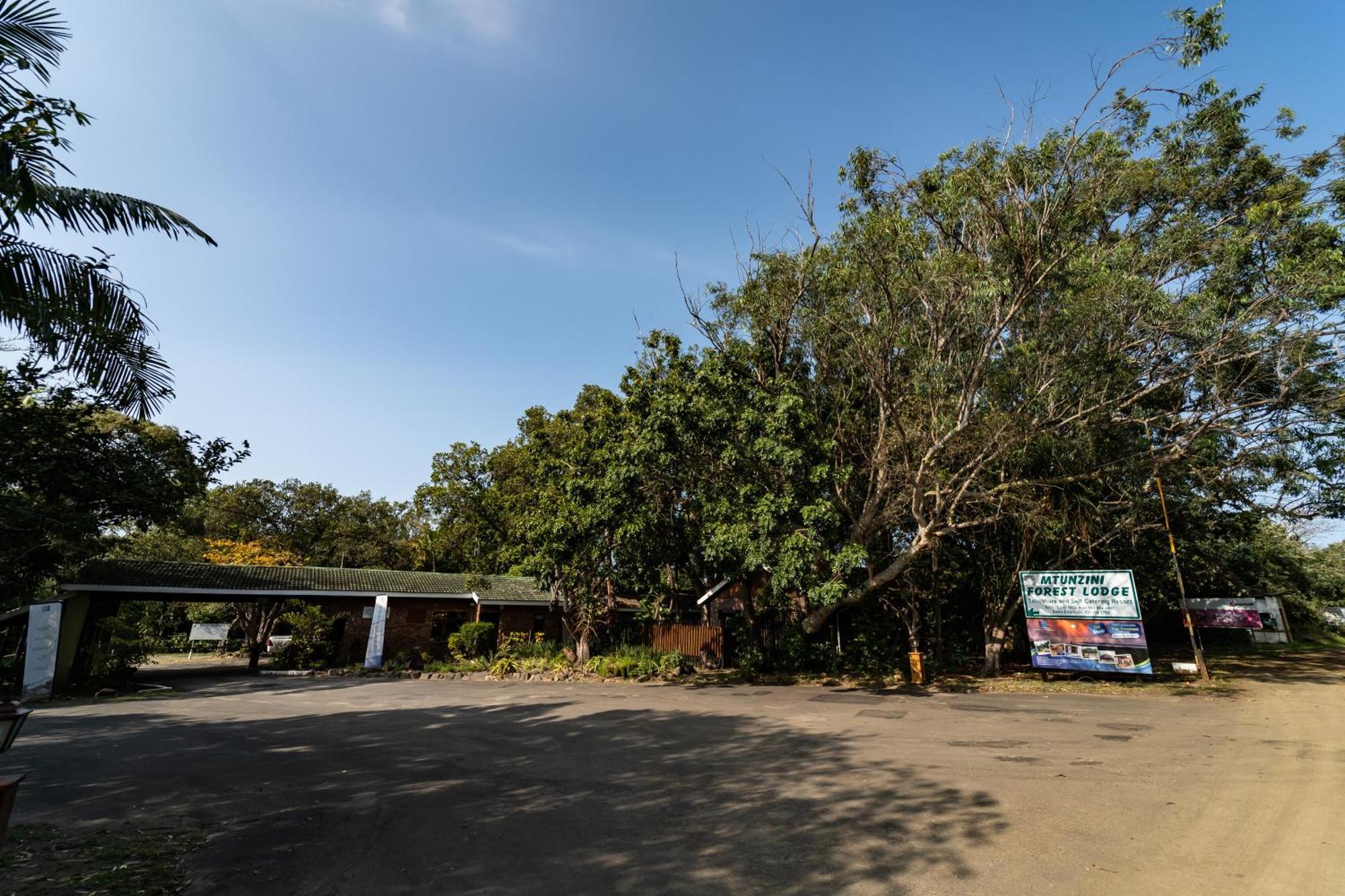 Mtunzini Forest Lodge Self Catering Resort Exteriör bild