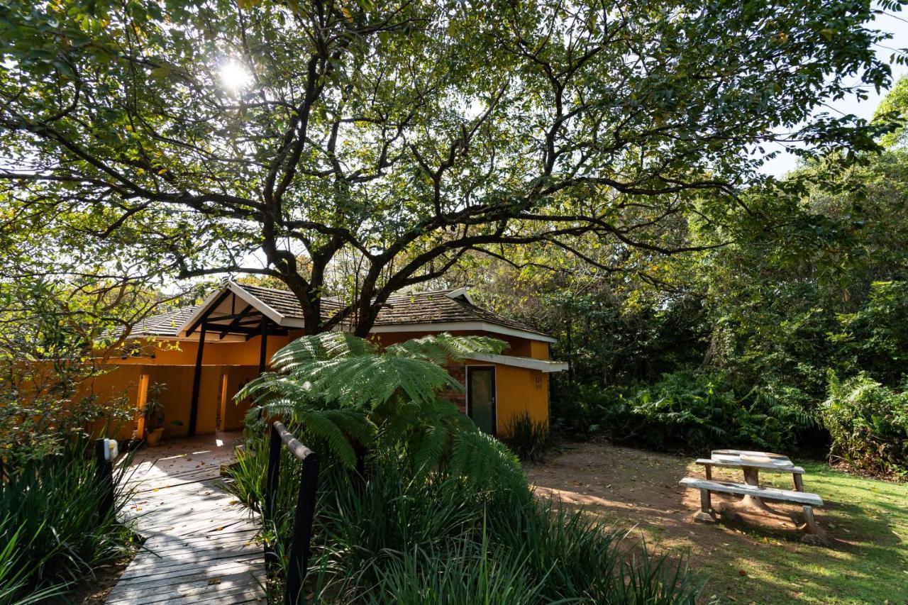 Mtunzini Forest Lodge Self Catering Resort Exteriör bild