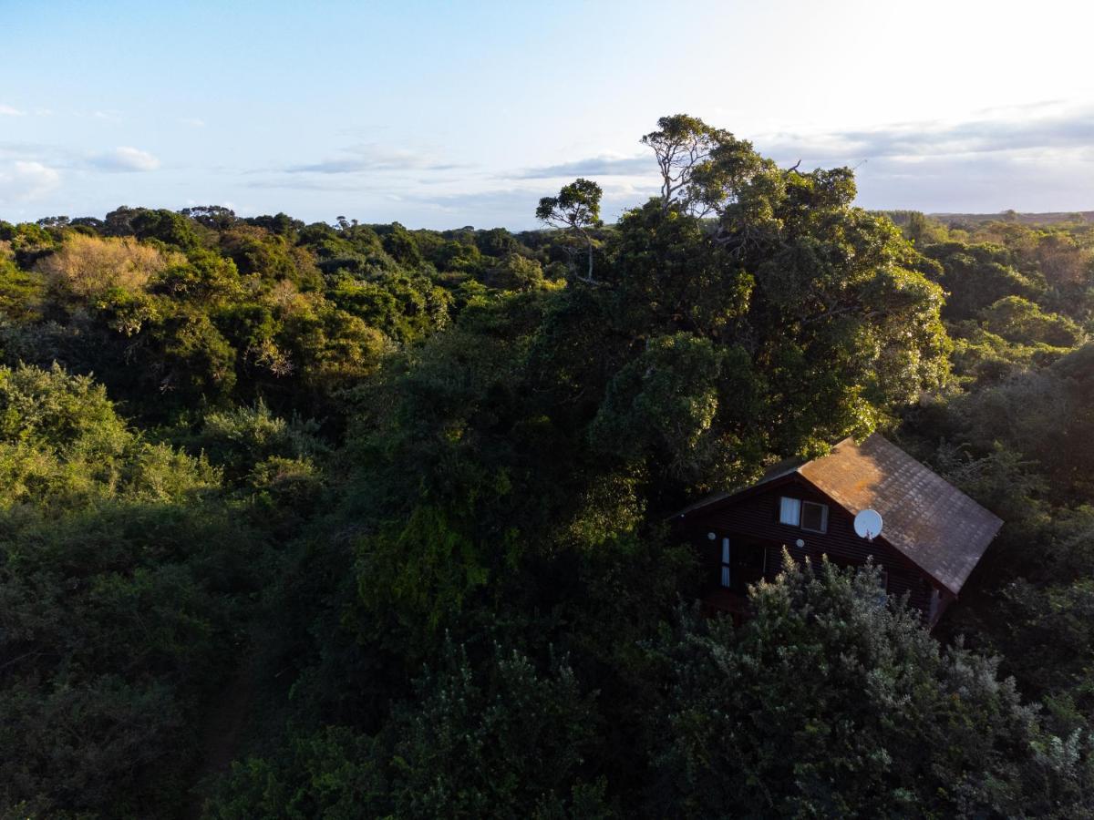 Mtunzini Forest Lodge Self Catering Resort Exteriör bild