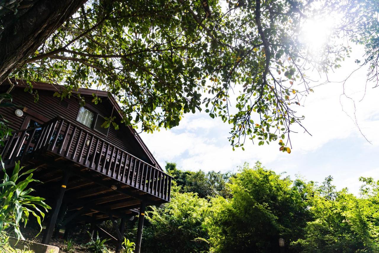 Mtunzini Forest Lodge Self Catering Resort Exteriör bild