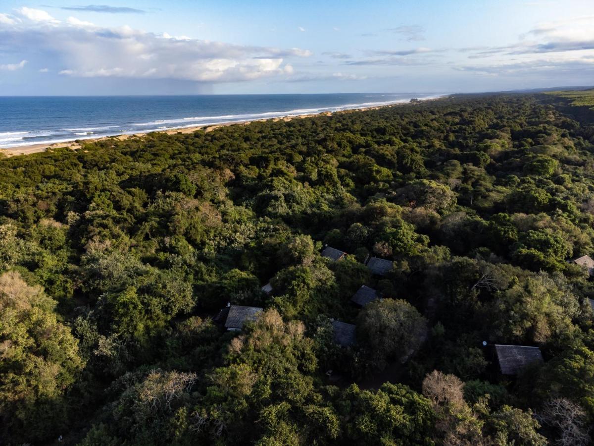 Mtunzini Forest Lodge Self Catering Resort Exteriör bild